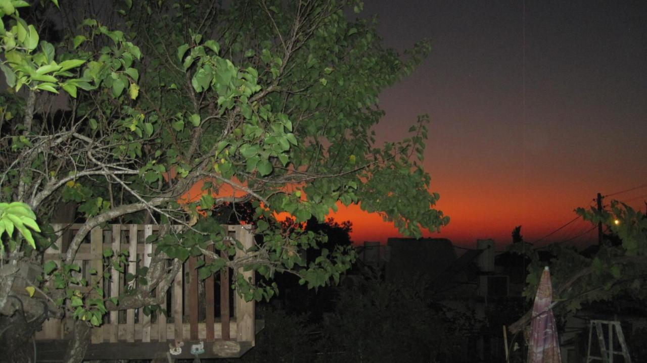 The House By The Mulberry Tree Appartement Neve Ilan Buitenkant foto